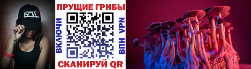 Галлюциногенные грибы Magic Shrooms Купить закладки Лесной